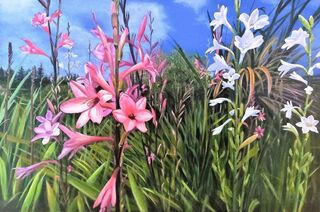 Bold & Beautiful Limited Edition Print